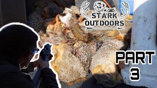SQUIRREL HUNTING WITH CURS. Stark Outdoors Presents The 8th Annual Jukebox Kennels Meat Hunt Part 3.