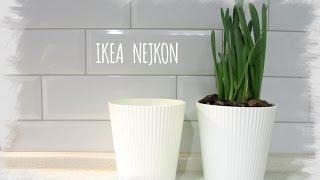 ИКЕА НЕЙКОН / IKEA NEJKON - кашпо для цветов (выпуск 3)