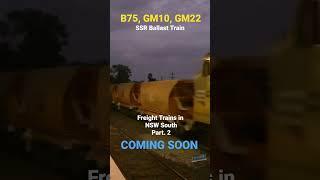 SSR Ballast Train - SHORT