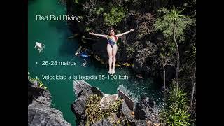Live Stream