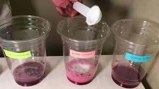 Antacid Potency Experiment - Science Fair Project Idea