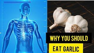 Health Benefits Of Garlic/Eat Garlic In The Morning