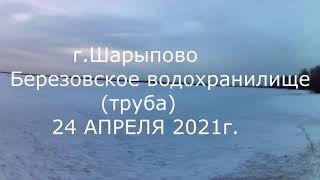 г. Шарыпово. Березовское водохранилище (труба) 24.04.2021г.