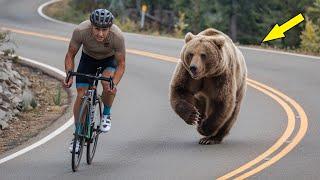 A cyclist was being chased by a brown bear! Incredible scene, look at this!