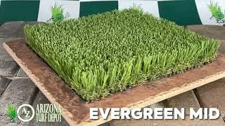 AZ Turf Depot EVERGREEN MID