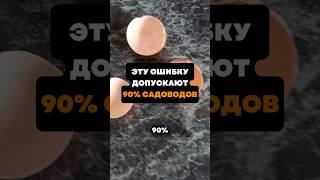 Эту ошибку допускают 90% садоводов#дача#сад