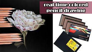 How to draw a realistic rose with color pencil – real time drawing video / draw along