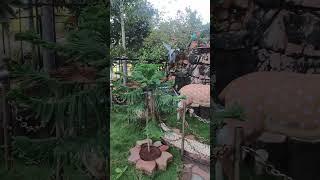 #Madurai holiday home  campus so beautiful#Amazing really#shorts