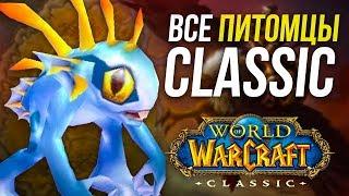 ВСЕ ПИТОМЦЫ И СПОСОБЫ ИХ ПОЛУЧЕНИЯ WORLD OF WACRAFT CLASSIC