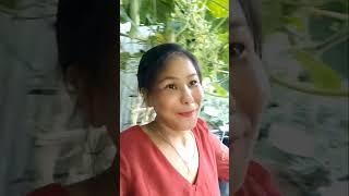 hi#garden
