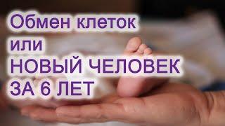 Обмен клеток или новый человек за 6 лет / Другая медицина / Доктор Черепанов