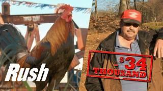 $3,000 "Oil Detecting" Rooster Causes $34,000 Loss!  | Backyard Oil