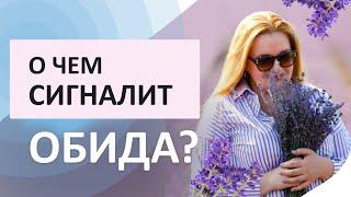 О чем сигналит обида? Как перестать обижаться на людей? Обида и самооценка