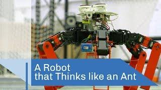 Antbot  | CNRS in English