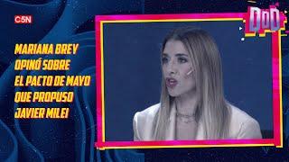 MARIANA BREY: "No me parece EXTORSIVO el PACTO de MAYO de MILEI"