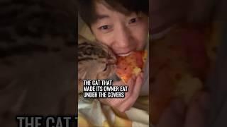 When Mealtime Means War