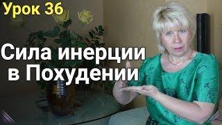 Сила Инерции при Похудении. ЕЛЕНА СТЕПАНОВА. ( Урок 36 )