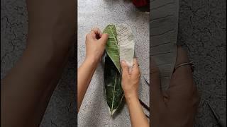 How to make mouldit clay leaf  #urmidiydelight #diycraft #shortviral #shortvideo