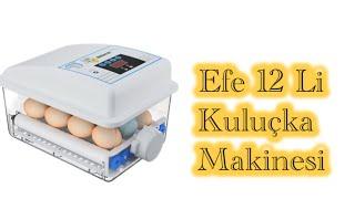 Efe 12’li Kuluçka Makinası: Kurulum, Kullanım ve İpuçları