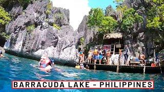 EXPLORING Barracuda Lake in Coron Palawan | PHILIPINES