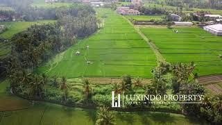 Freehold Land for Sale In Tebongkang - Ubud