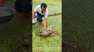 Amazing Traditional Fishing: Using a Simple Disc Tool to Catch a Big Haul of Fish!