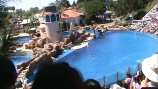 mui seaworld6