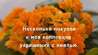 Только четыре покупки. Украшения с эмалью из моей коллекции.