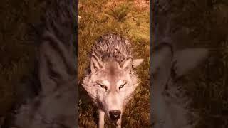 Перпетум играет в Far Cry Primal #perpetuumworld