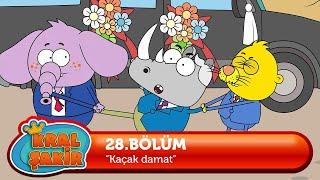 Kral Şakir 28. Bölüm - Kaçak Damat