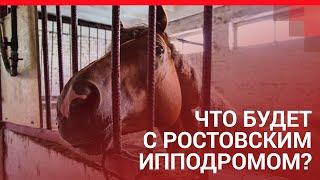 Что будет с ростовским ипподромом ? | 161.RU