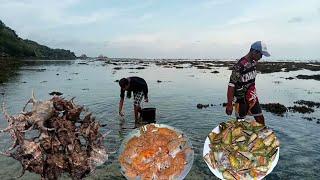 FROM HIBASAN TO TABLE || CATCH AND COOK FRESH DISH | Sisters Mix Vlog