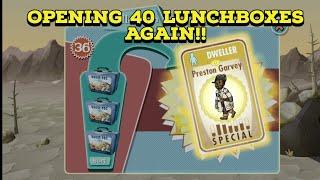 Opening 40 Lunchboxes Again!