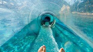 Aquatica Orlando - Dolphin Plunge | Water Slide Through Tank!