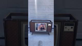 TRASHED Vintage TV into a Dog Bed! #trashfinds #flip #home #ideas #homehacks #thrift #shorts #diy