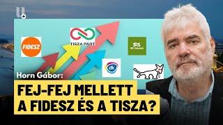 Friss közvéleménykutatás: így áll most a Fidesz és a Tisza közötti különbség - Horn Gábor