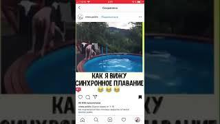 А ты как ВИДЕШЬ ?