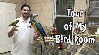 Parrot Wizard Bird Room Tour