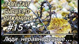 Заметки бывшего рижанина #15.  Люди неравнодушные…