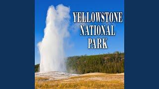 Lone Star Geyser