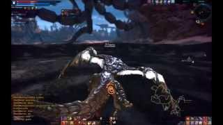 Warrior - Solo World Boss LV 60 - Heartbroken Quest TERA (EU)