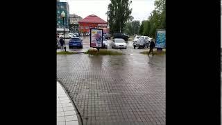 Свинья на центральной площади в Лысьве. 04.08.2020 г.