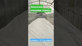 Бесплатное отопление теплицы. Заморозки в -16 градусов не страшны #теплица #огурцы #помидоры