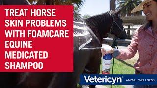 Vetericyn Equine Medicated FoamCare Shampoo Treats Ringworm, Girth Itch, Scratches, and More!