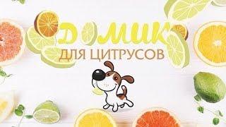 Новичок с клещом