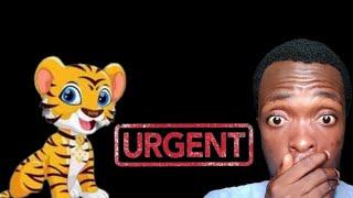 * URGENT* BNB TIGER INU