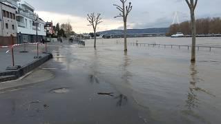 Hochwasser Rhein Weißenthurm März 2020 rhine river flooding Germany