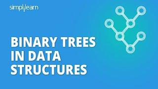 Binary Trees In Data Structures | Binary Trees & Its Types | Data Structures Tutorial | Simplilearn