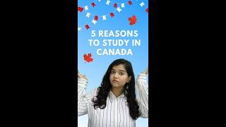 5 Reasons to Study in Canada || Why study in Canada || #shorts #studyabroad #studyincanada