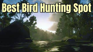 Best Small Bird Hunting Spot : Perfect Robin, Woodpecker, Oriole, Cardinal, Blue Jay more : RDR2